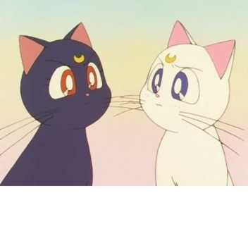 Cat hangout C: