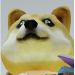 Dogs unite attack cats