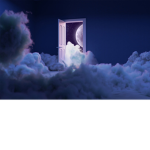 +*Dream Boutique*+