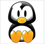 pengiun club
