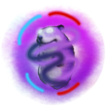 Splitmatter Chomik