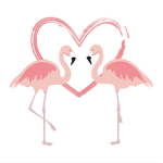 Jaidas flamingos