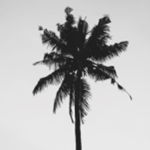 323.LA