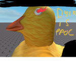 The Cool Duck Alliance