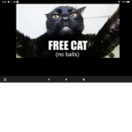 Free Kat is black...