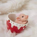 -preppypigs-
