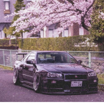 Vip Lifestyle