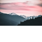 ~ + * Omq_ItzDelilah * + ~
