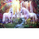 unicorn fan clup
