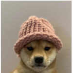 DOGE YEET TEAM
