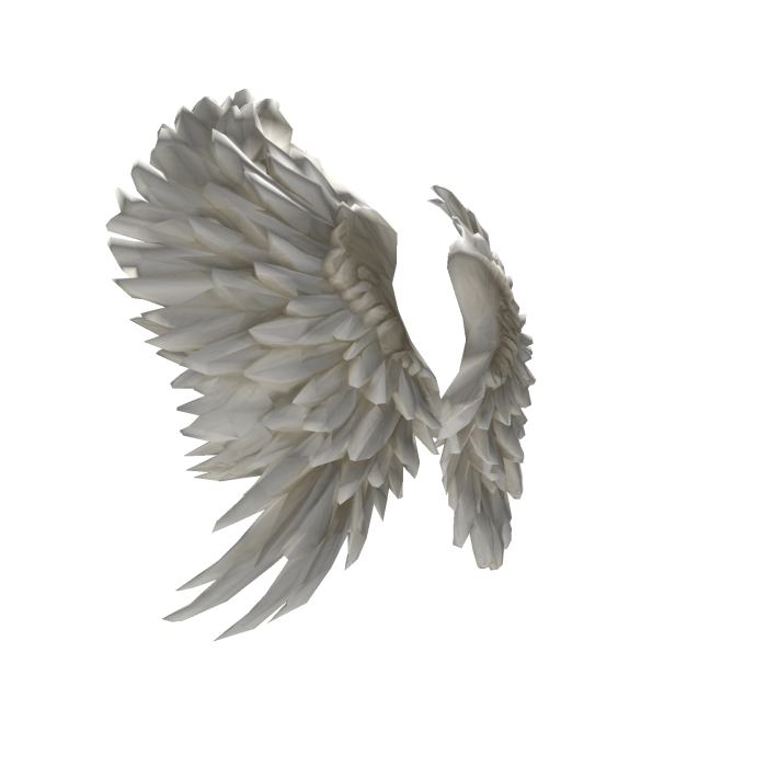 🤍🪽 Angel wings🤍🪽