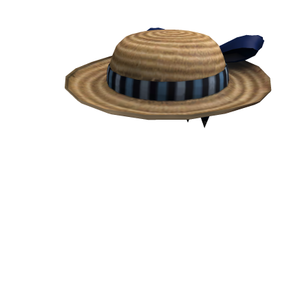 Lady's Picnic Hat