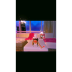 Official Peachy Roblox Fan Group