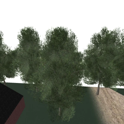 PINE HILL CHURCH LEAKED