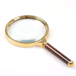 the search