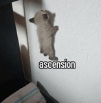 Ascension Studios.gg