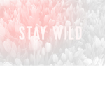 grace and ana stay wild squad