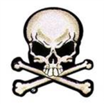 THE CROSS BONES