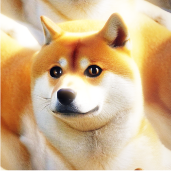 Life is Doge.