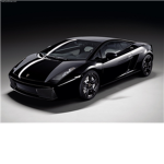lamborghini lovers 101