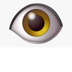 |eye|