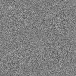 Hod_black