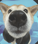 DOGGY IS FREDDY FAZBEAR