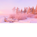 aesthetic snow group