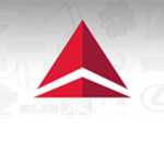 Professional Delta Airlines