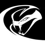 [DEL-TAC] Viper Company Asset Protection