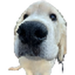 chuzz studio Group Thumbnail