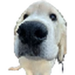 chuzz studio Group Thumbnail