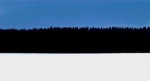 Offical Estonian gang