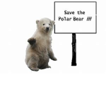 save our polar bears!