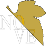 NONCONVENTIONAL OFFENSIVE VECTOR ECHELON