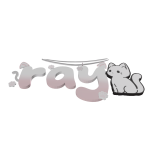 ray