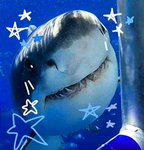 SharkrahS