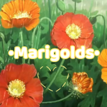 Miraculous Mari_Golds