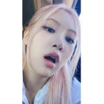 roses_are_rosie