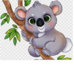 Koala_milly