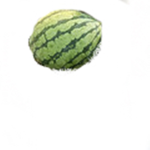 Watermelon Memes