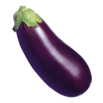 EGGPLANTS RULE