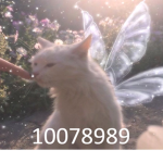 >Sugar<
