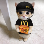 ChesseBurgerPLS