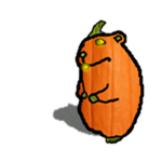 Pumpkin Chomik