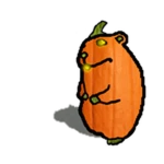 Pumpkin Chomik