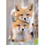 The Fox Squad :P