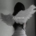 zzxmisa