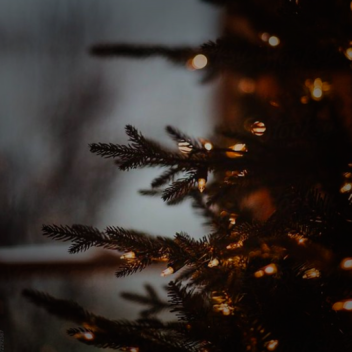 ❆