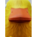 Duck game and fun
